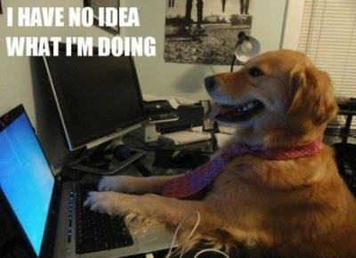  I have no idea what I'm doing